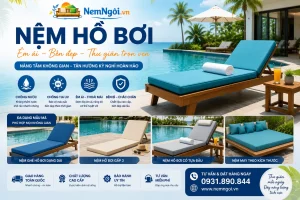 nem ho boi