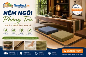 banner phong tra